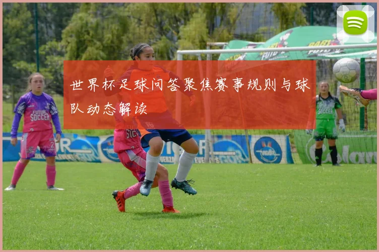 世界杯足球问答聚焦赛事规则与球队动态解读