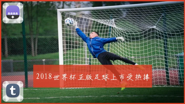 2018世界杯正版足球上市受热捧