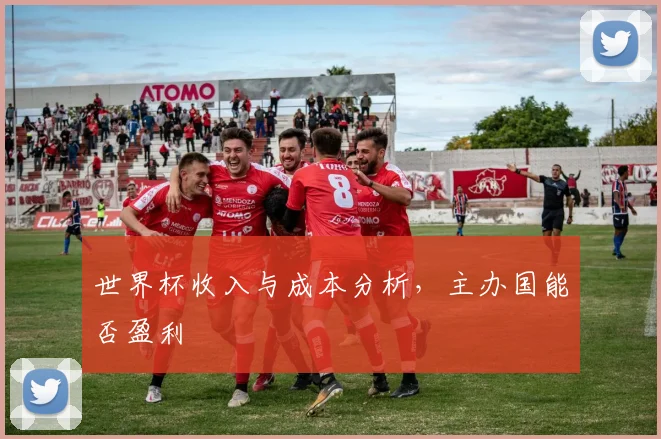 世界杯收入与成本分析，主办国能否盈利