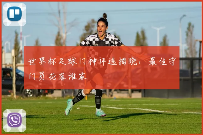 世界杯足球门神评选揭晓，最佳守门员花落谁家
