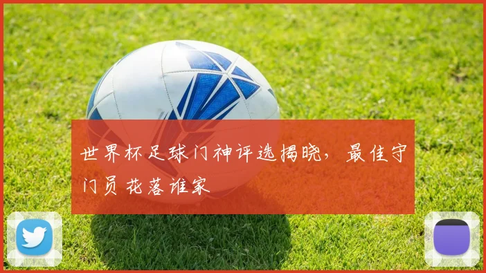 世界杯足球门神评选揭晓，最佳守门员花落谁家