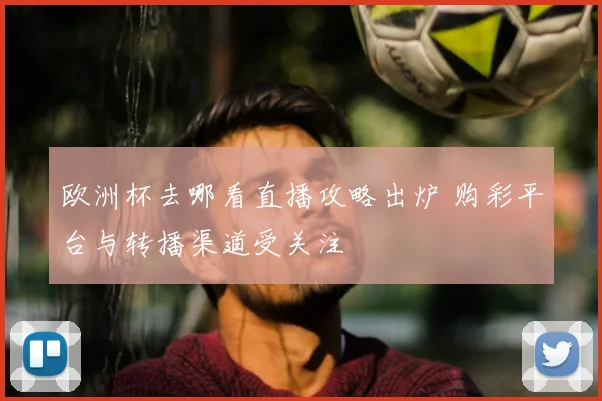 欧洲杯去哪看直播攻略出炉 购彩平台与转播渠道受关注