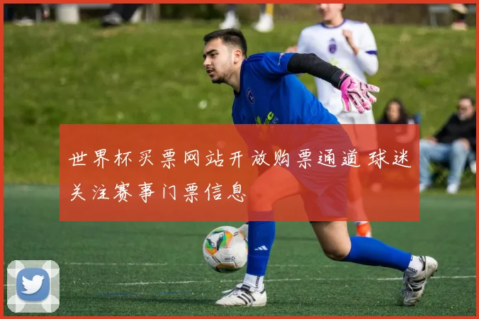 世界杯买票网站开放购票通道 球迷关注赛事门票信息