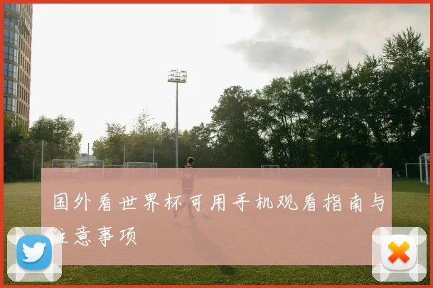 国外看世界杯可用手机观看指南与注意事项