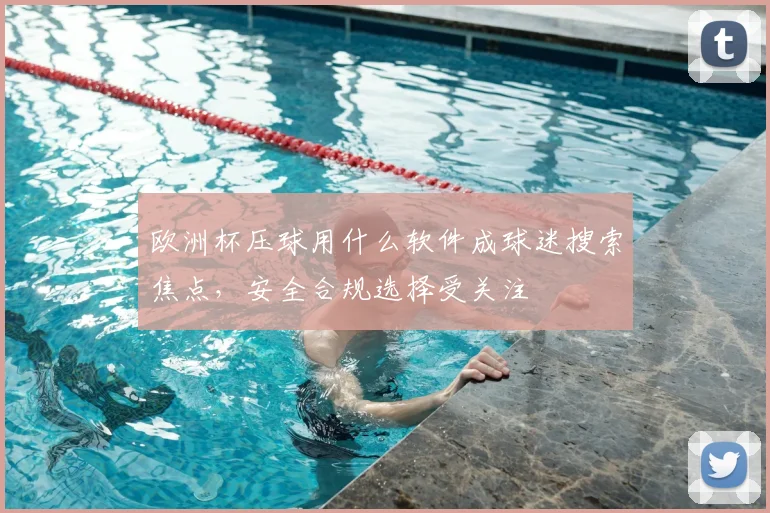 欧洲杯压球用什么软件成球迷搜索焦点,安全合规选择受关注