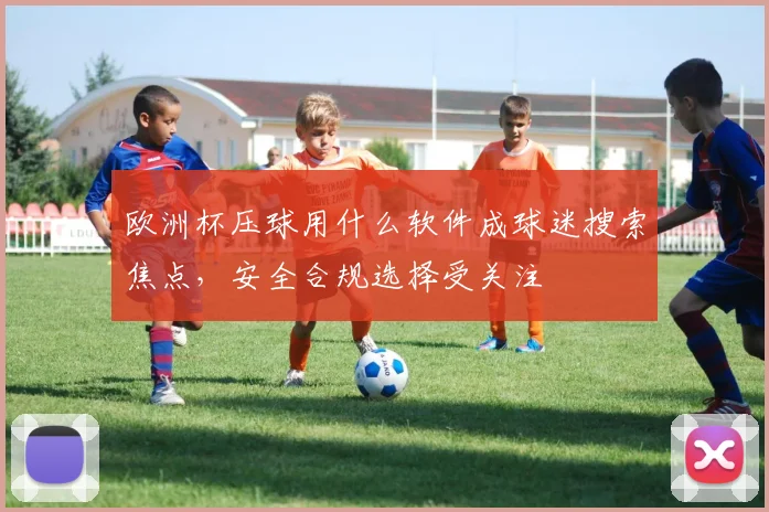 欧洲杯压球用什么软件成球迷搜索焦点,安全合规选择受关注
