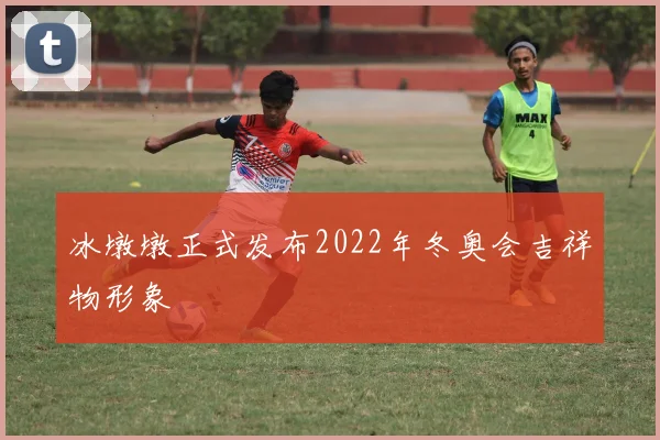 冰墩墩正式发布2022年冬奥会吉祥物形象