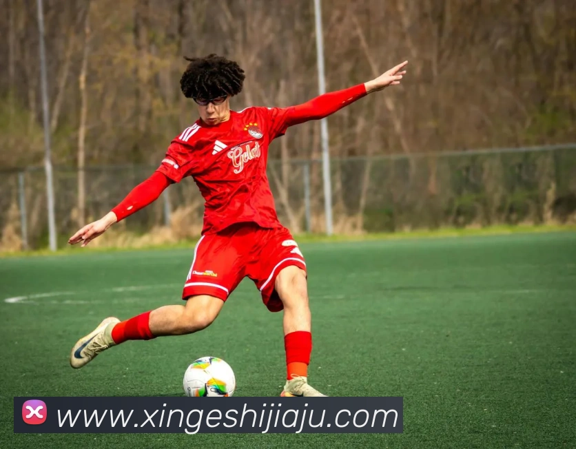 世界杯官方网络平台服务体系